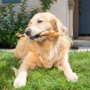 Barking Buddha Braided Bully Stick 12″ (3 Pack) For Large To XL Dogs / Power Chewers (12)