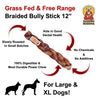 Barking Buddha Braided Bully Stick 12″ (3 Pack) For Large To XL Dogs / Power Chewers (12)