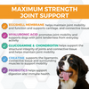 Nootie Progility Max Hip & Joint Soft Chew Supplement for Dogs (60 Soft Chews)