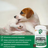 Nootie Progility Allergy & Immune Soft Chew Supplement For Dogs